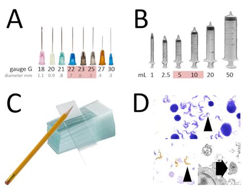 Tools And Results For Fine Needle Aspiration A Ideal Diameter Of The