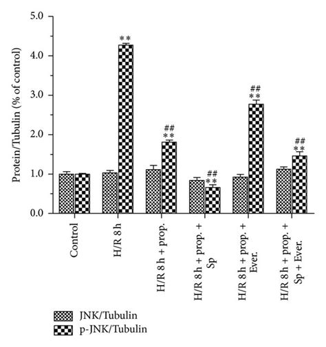 The Effects Of Propofol M On Bax Bcl Caspase Sur B Kir