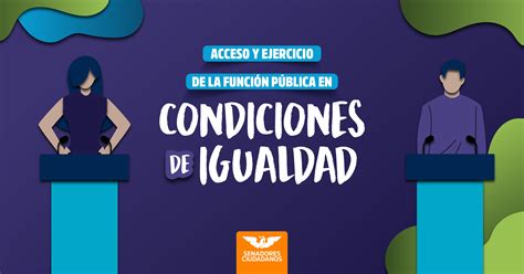 Acceso y ejercicio de la función pública en condiciones de igualdad