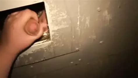 Free BBW Gloryhole Porn Videos XHamster