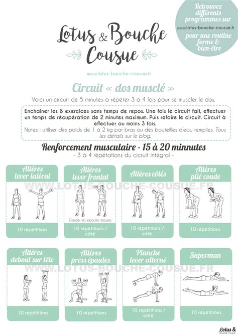 Circuit Cibl Pour Un Dos Muscl Lotus Bouche Cousue