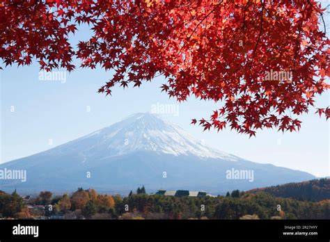 Autumn leaves of Lake Kawaguchi and Mt. Fuji Stock Photo - Alamy