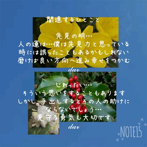 今日の花たち118火 花言葉と 関連するひとこと ヒイラギ 用心深さ･先見の明･保護 ステルンベルギア 期待･安息･じれったい｜だー｜note