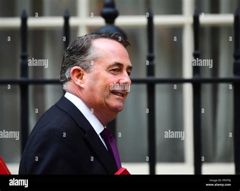 International Trade Secretary Liam Fox Arrives In Downing Street