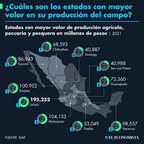 📌 Infografía ¿cuáles Son Los Estados Con Mayor Valor En Su Producción