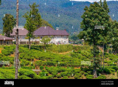 Hilly Landscape Of Sri Lanka Dotted With Villages And Tea Plantations