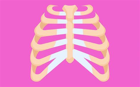 Fractured Sternum Claim For Compensation Beacon Law