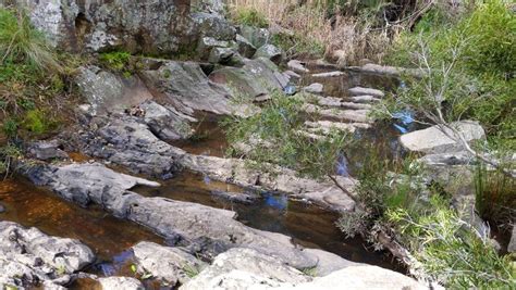 Crevicing For Gold In Creeks And Rivers Goldfields Guide