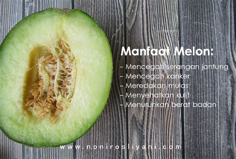 Buah Melon Dan Manfaatnya Brain