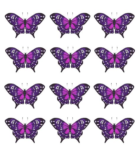 Conjunto De Mariposas Rosas Tropicales Para Imprimir Vector Premium