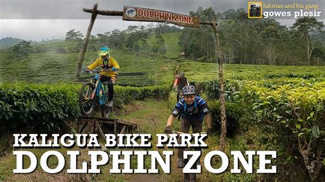 Gowes Plesir Ke Kaligua Bike Park Dolphin Zone Tempat Bermain Yang