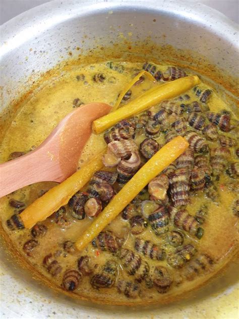 Resipi Masak Lemak Cili Api Siput Sedut Campur Daun Kaduk