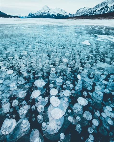 Earth — Frozen bubbles in Abraham Lake in Alberta, Canada....