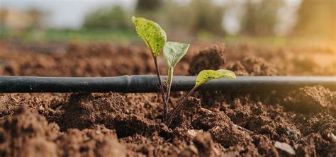 What Is Irrigation Types Methods And Importance Of Irrigation