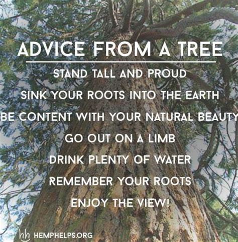 Advice From A Tree 9buz