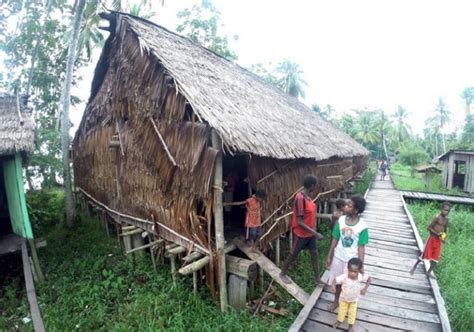 Rumah Adat Suku Asmat : Nama, Sejarah, Bagian dan Keunikan