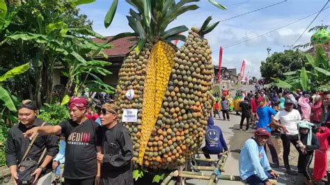 Warga Lereng Gunung Kelud Gelar Festival Gunungan Nanas Halaman