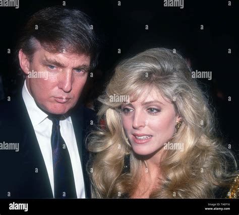 Celeb marla maples donald trump hi-res stock photography and images - Alamy