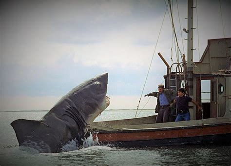 Pin by Brian mozi on Jaws movie | Jaws movie, Shark week, Jaw