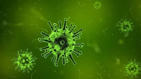 Ecco Lo Yaravirus Un Nuovo Virus Appena Scoperto In Brasile Wired