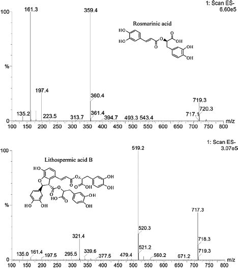 Chemical Structures And Mass Spectra Of Rosmarinic Acid And