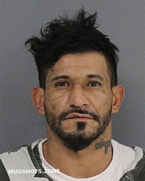 Barrios Rosales Juan Luis Hopkins County Mugshots Zone