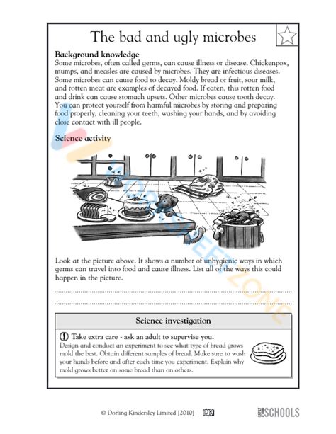 5th Grade Science Worksheets