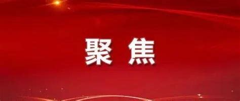 统筹发展和安全 推进市域社会治理现代化 坚决扛起防范化解市域公共安全风险责任 ——第七次全国市域社会治理现代化试点创新研讨班侧记 领域 数据 重点