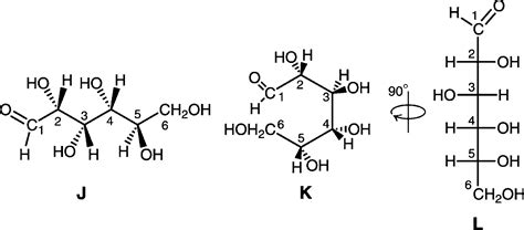 Alpha Glucose Fischer Projection