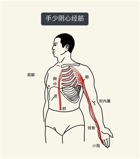 今日小暑丨这些养生窍门要记牢 知乎