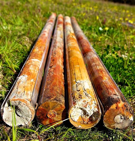 soil sampling methods undisturbed  disturbed samples