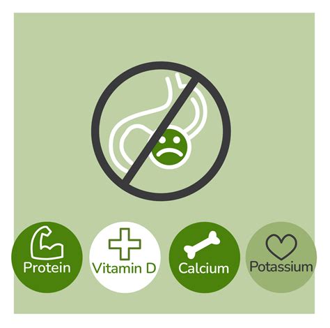 Lactose Free Dairy Products - Fresh & Shelf Stable | REAL Milk