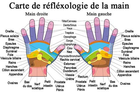 Les Fabuleuses Vertus De La Réflexologie Aquatonic