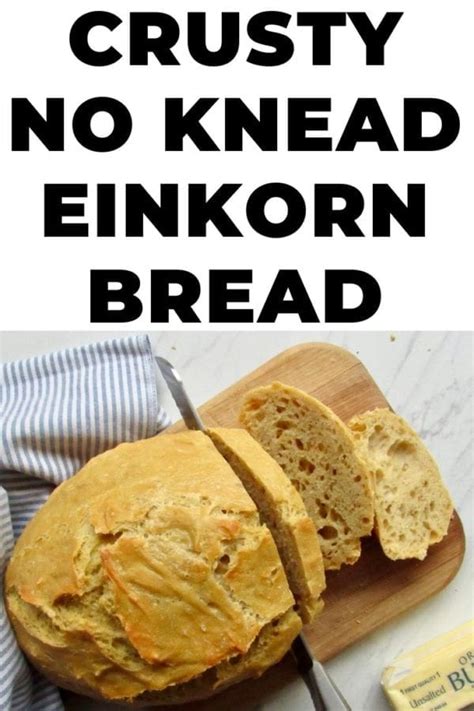 Crusty No Knead Einkorn Bread Fit Mama Real Food