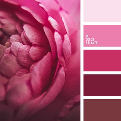 цвет малины | IN COLOR BALANCE