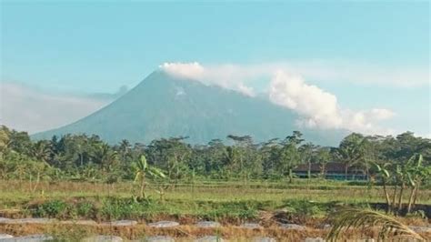 Update Aktivitas Gunung Merapi Dalam Sepekan Luncurkan Kali