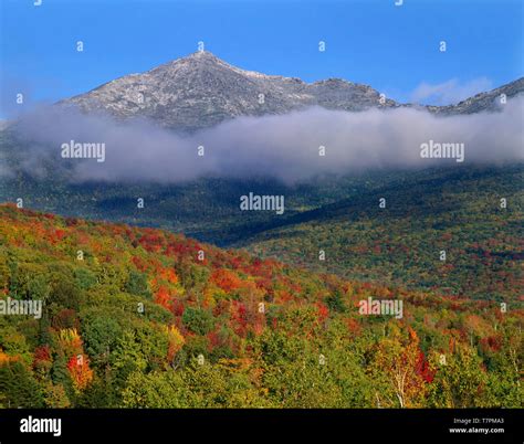 usa  hampshire white mountain national forest fall colored slopes