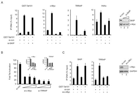 Skip Recruits C Myctrrap To The Tat Activated Hiv 1 Promoter A Chip