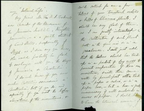 Alfred Russel Wallace Letters The Australian Museum Blog