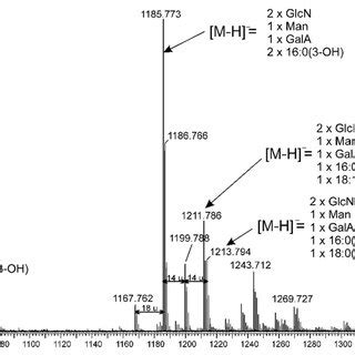 ESI MS Mass Spectrum In The Negative Ion Mode Of O De Acylated Rv Lipid