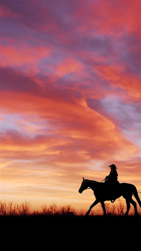 Cowboy at sunset - backiee