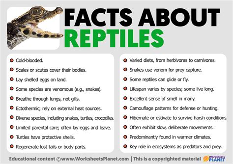 Facts About Reptiles