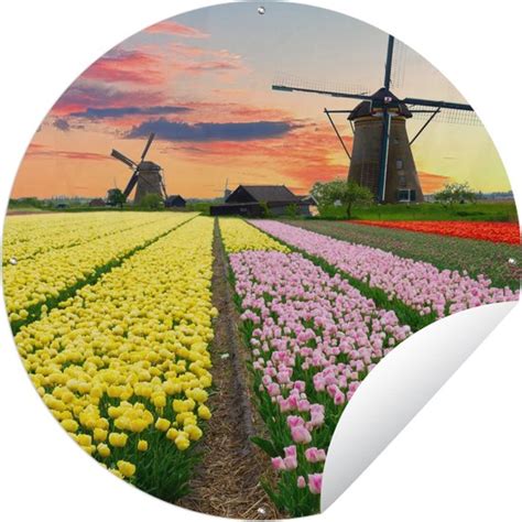 Tuincirkel Windmolen Tulpen Bloemen Nederland X Cm Ronde