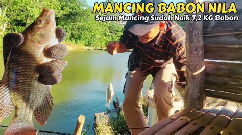 Hanya Se Jam Mancing Naik 7 5 Kg Babon 5 Jari Mancing IKAN NILA BABON