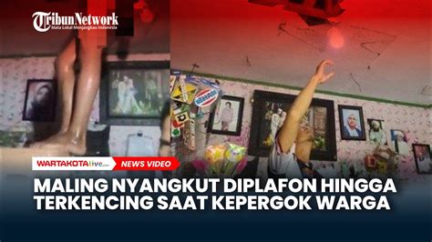 Maling Tersangkut Di Plafon Ruko Warga Hingga Terkencing Minta Tolong