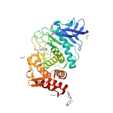 Rcsb Pdb Qf X Ray Structure Of Thermolysin Crystallized On A