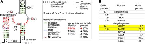 Genetic Context And Consensus Sequence Of The Gd V Motif A Consensus