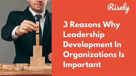 Reasons Why Leadership Development In Organizations Is Important Risely