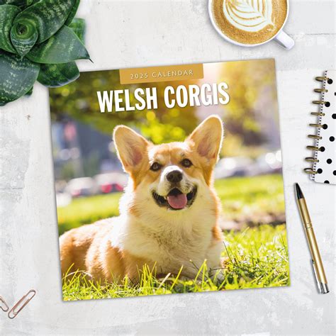 2025 Welsh Corgis Square Wall Calendar