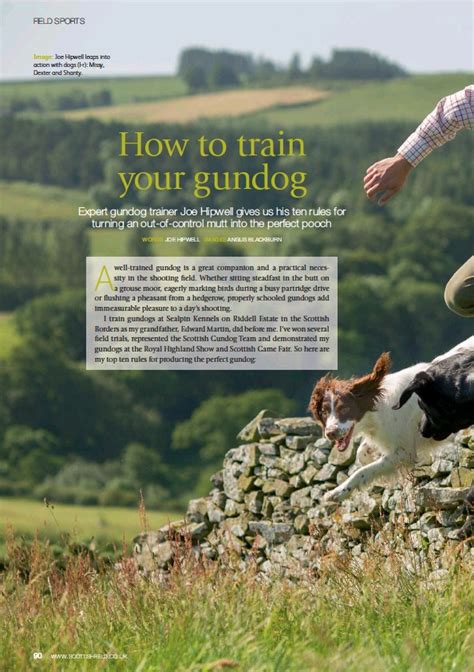 How To Train Your Gundog Pressreader